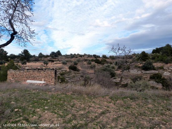 Finca en venta en Valjunquera (Teruel)