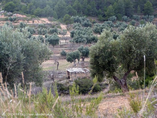 Finca en venta en Valjunquera (Teruel)