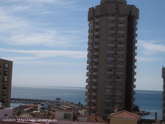  Apartamento en alquiler en Fuengirola (Málaga) 