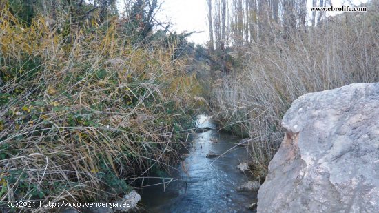 Finca en venta en Valderrobres (Teruel)