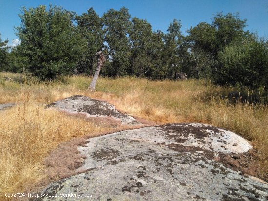 Solar en venta en Ortigosa del Monte (Segovia)