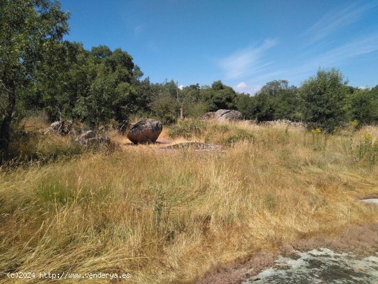 Solar en venta en Ortigosa del Monte (Segovia)