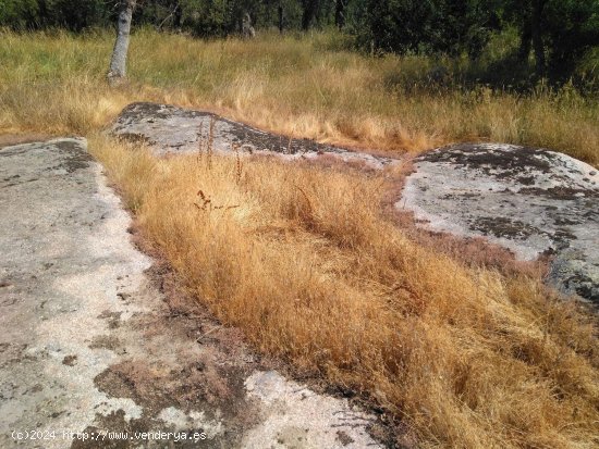 Solar en venta en Ortigosa del Monte (Segovia)