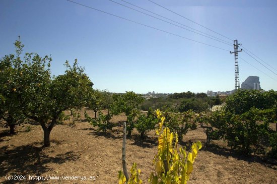 Solar en venta en Calpe (Alicante)