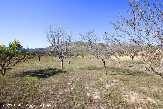  Solar en venta en Benissa (Alicante) 