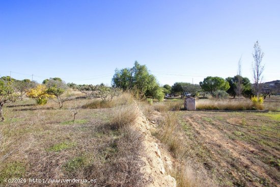 Solar en venta en Benissa (Alicante)