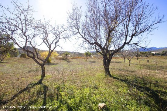 Solar en venta en Benissa (Alicante)