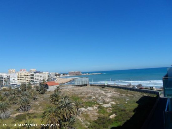 Apartamento en venta en Torrevieja (Alicante)