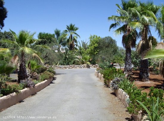 Finca en venta en Alhaurín el Grande (Málaga)