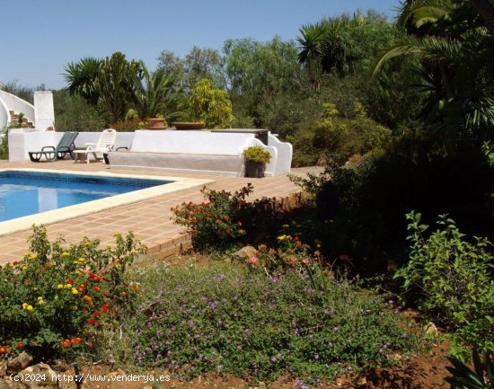 Finca en venta en Alhaurín el Grande (Málaga)