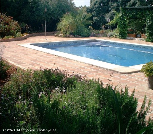 Finca en venta en Alhaurín el Grande (Málaga)