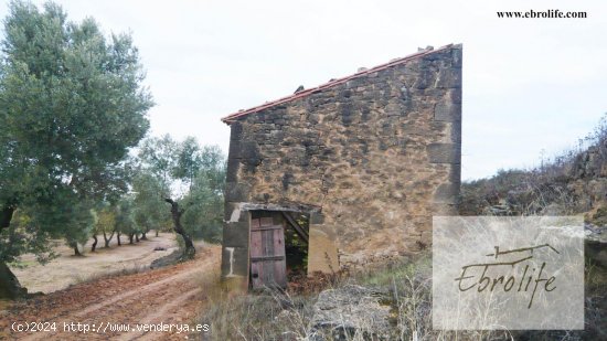 Finca en venta en Calaceite (Teruel)