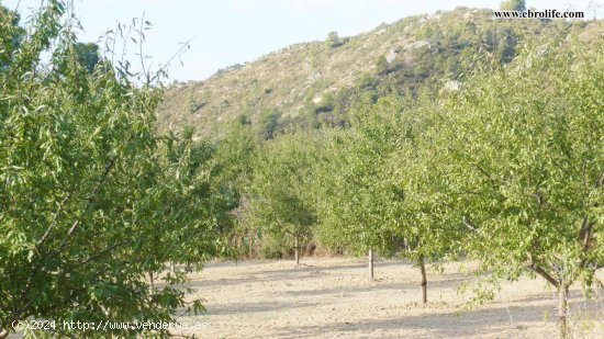  Finca en venta en Calaceite (Teruel) 