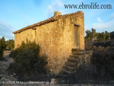 Finca en venta en Maella (Zaragoza)