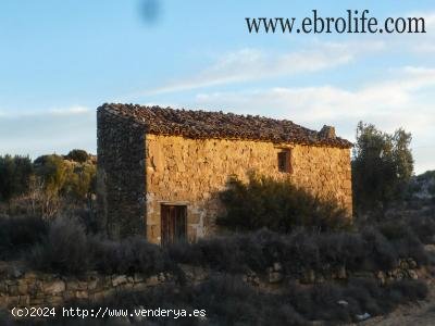 Finca en venta en Maella (Zaragoza)