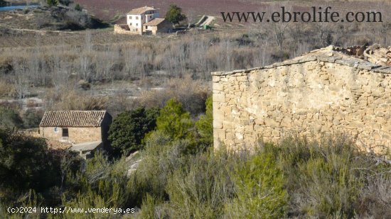 Finca en venta en Maella (Zaragoza)