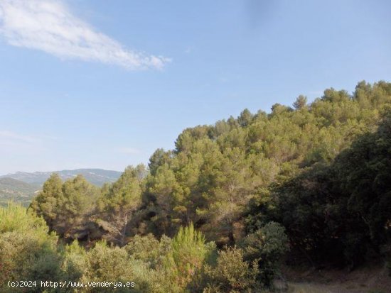 Finca en venta en L Aleixar (Tarragona)