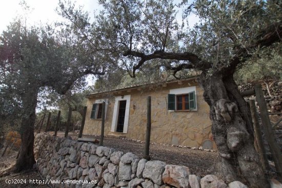  Casa en venta en Fornalutx (Baleares) 