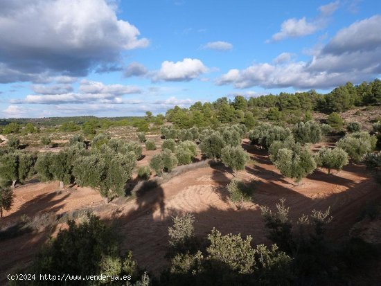 Finca en venta en Valjunquera (Teruel)