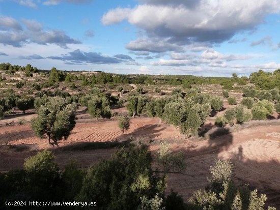 Finca en venta en Valjunquera (Teruel)