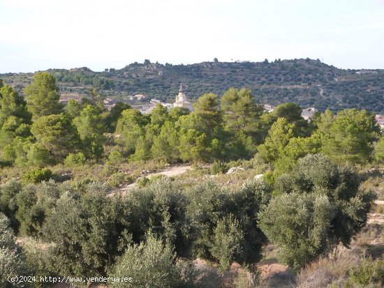 Finca en venta en Valjunquera (Teruel)