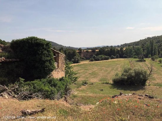 Finca en venta en Valderrobres (Teruel)