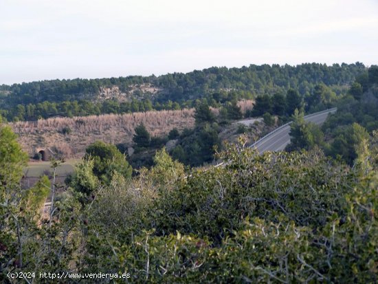 Finca en venta en Valjunquera (Teruel)