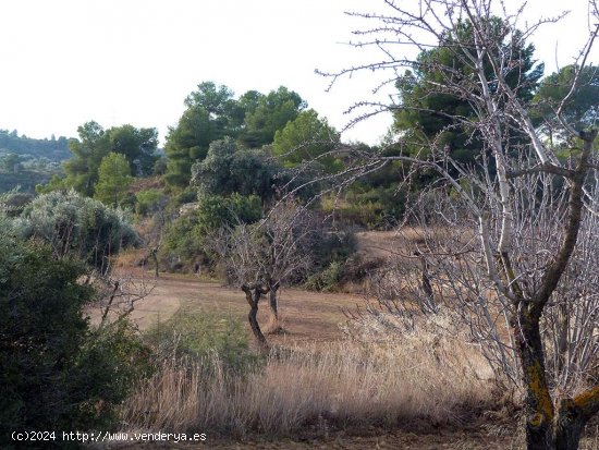 Finca en venta en Valjunquera (Teruel)