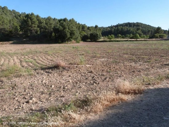 Finca en venta en Mazaleón (Teruel)