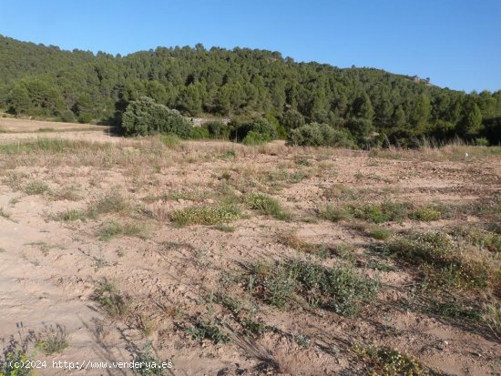 Finca en venta en Mazaleón (Teruel)