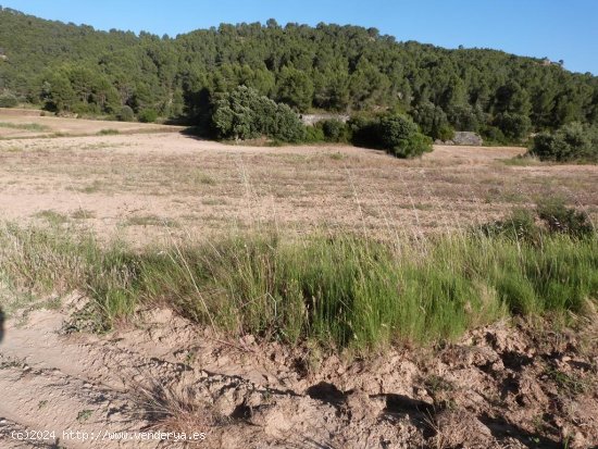 Finca en venta en Mazaleón (Teruel)