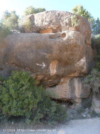 Finca en venta en Mazaleón (Teruel)