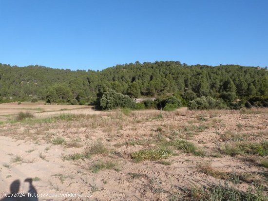 Finca en venta en Mazaleón (Teruel)