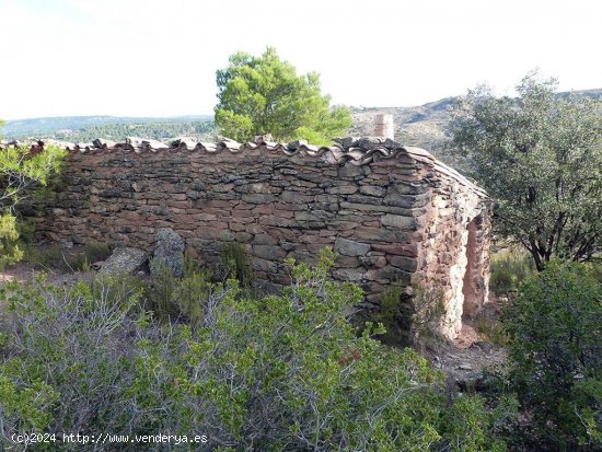 Finca en venta en Mazaleón (Teruel)