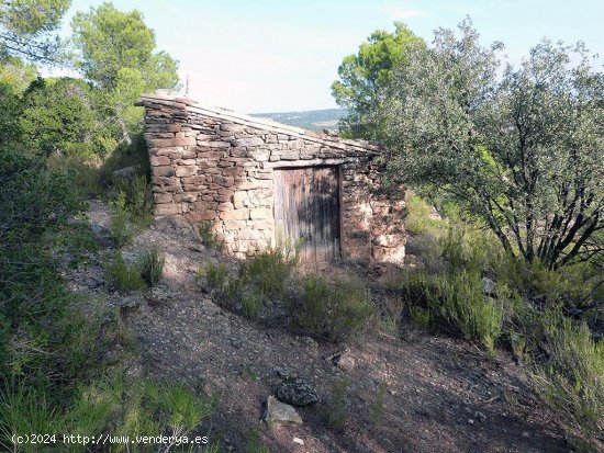 Finca en venta en Mazaleón (Teruel)