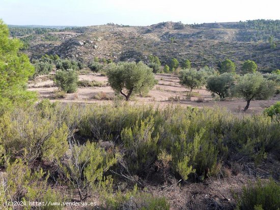 Finca en venta en Mazaleón (Teruel)