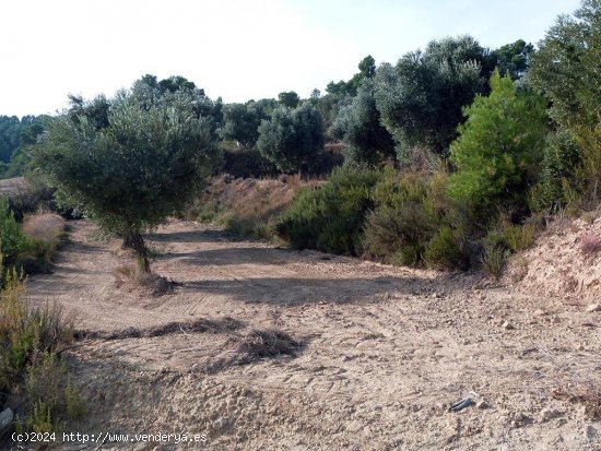 Finca en venta en Mazaleón (Teruel)