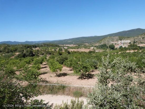  Finca en venta en Fuentespalda (Teruel) 