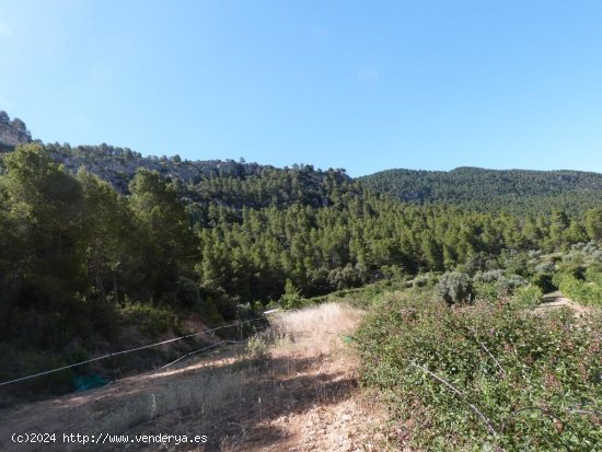 Finca en venta en Fuentespalda (Teruel)