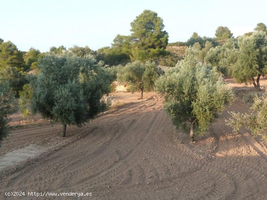 Finca en venta en Valjunquera (Teruel)