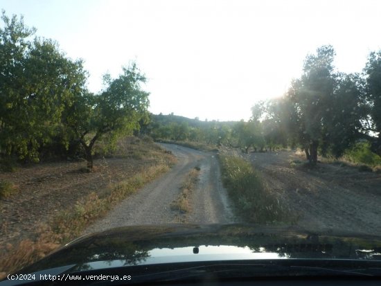 Finca en venta en Valjunquera (Teruel)