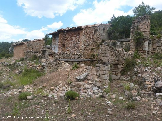 Finca en venta en Peñarroya de Tastavins (Teruel)