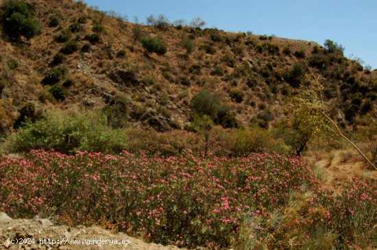 Finca en venta en Cártama (Málaga)