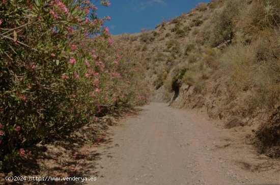 Finca en venta en Cártama (Málaga)