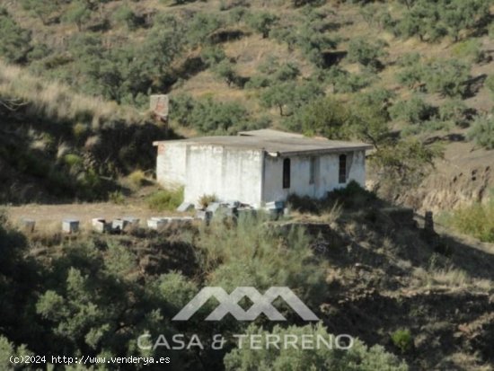 Finca en venta en Cómpeta (Málaga)