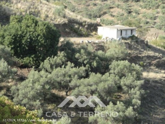 Finca en venta en Cómpeta (Málaga)