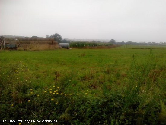 Finca para invertir en Barreiros (Lugo)