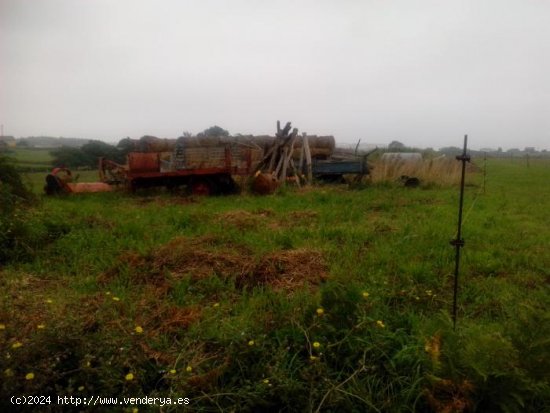 Finca para invertir en Barreiros (Lugo)