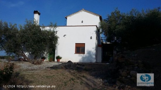 Finca en venta en Periana (Málaga)