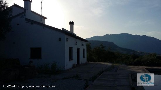 Finca en venta en Periana (Málaga)